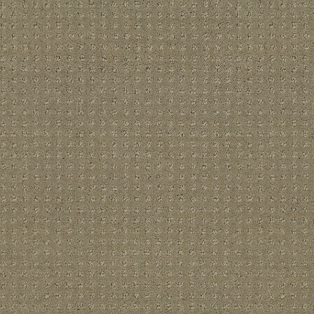 Shaw Floors Alluring Disposition - Mocha