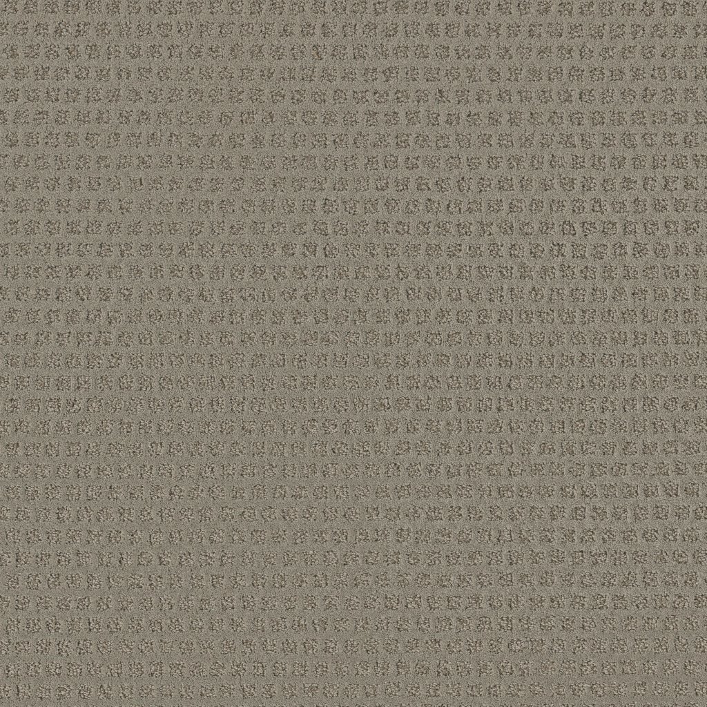 Shaw Floors The Arts - Lady In Grey