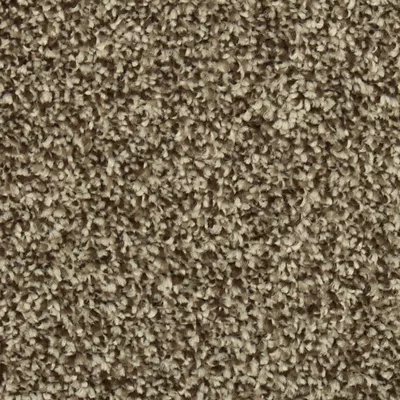 Mohawk Colorful Blend II - 889