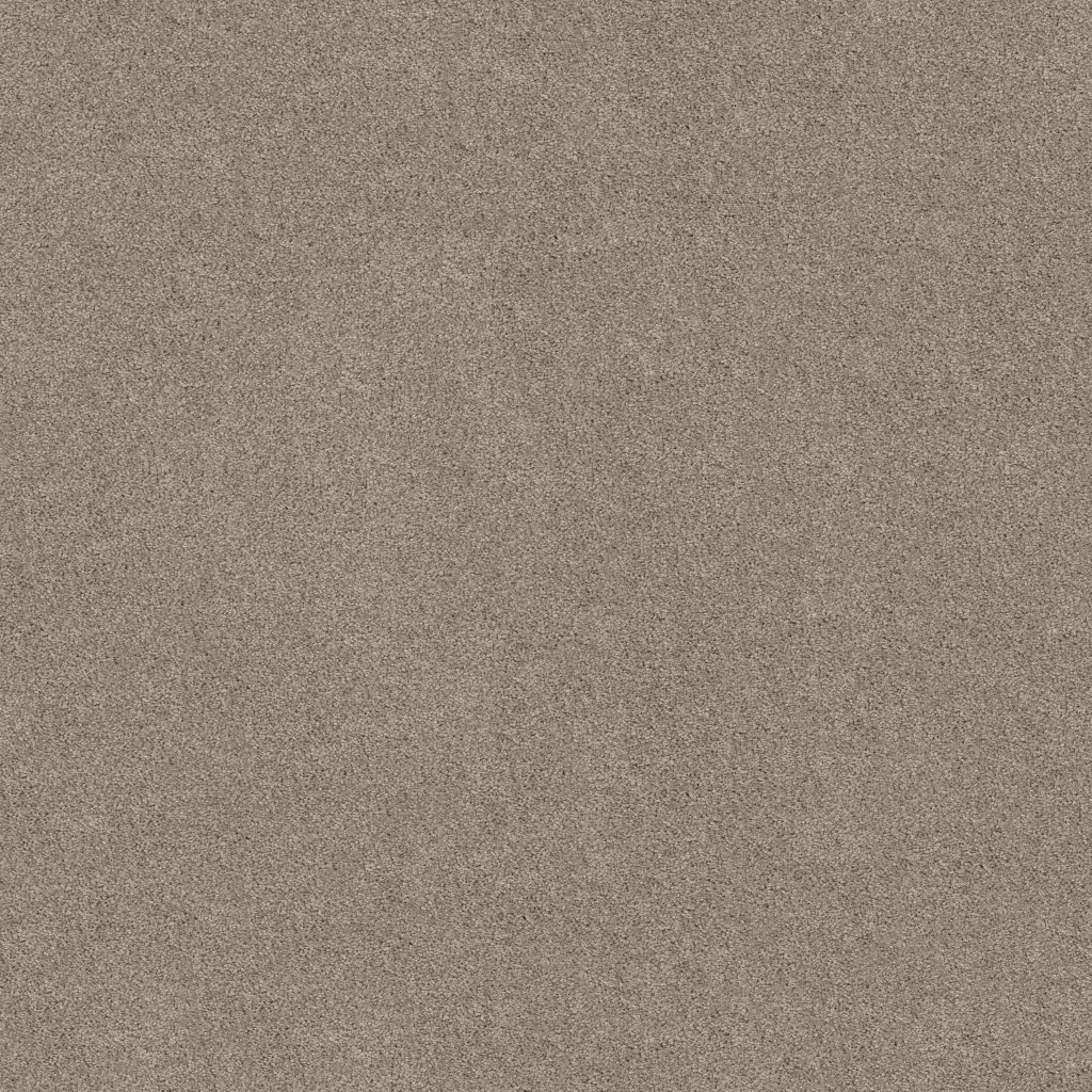 Shaw Floors Origins Ii - Silver Shadow