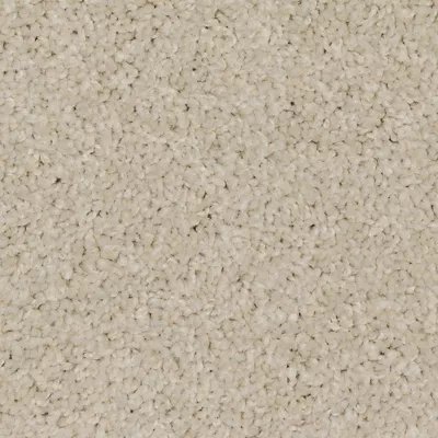 Mohawk Up The Ante - Antique White