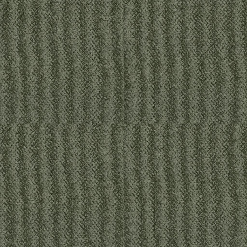 Shaw Floors Artist View Loop - Bay Laurel