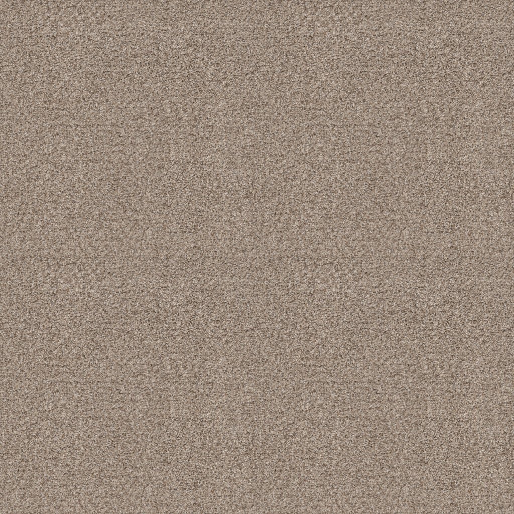 Shaw Floors Make It Work - Sands Of Time