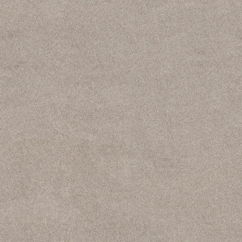 Shaw Floors Blended Touch II - Luna Pearl