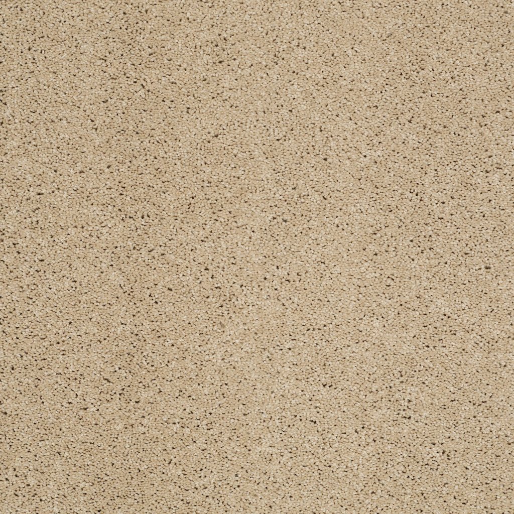 Shaw Floors Inspired By Ii - Beach Walk