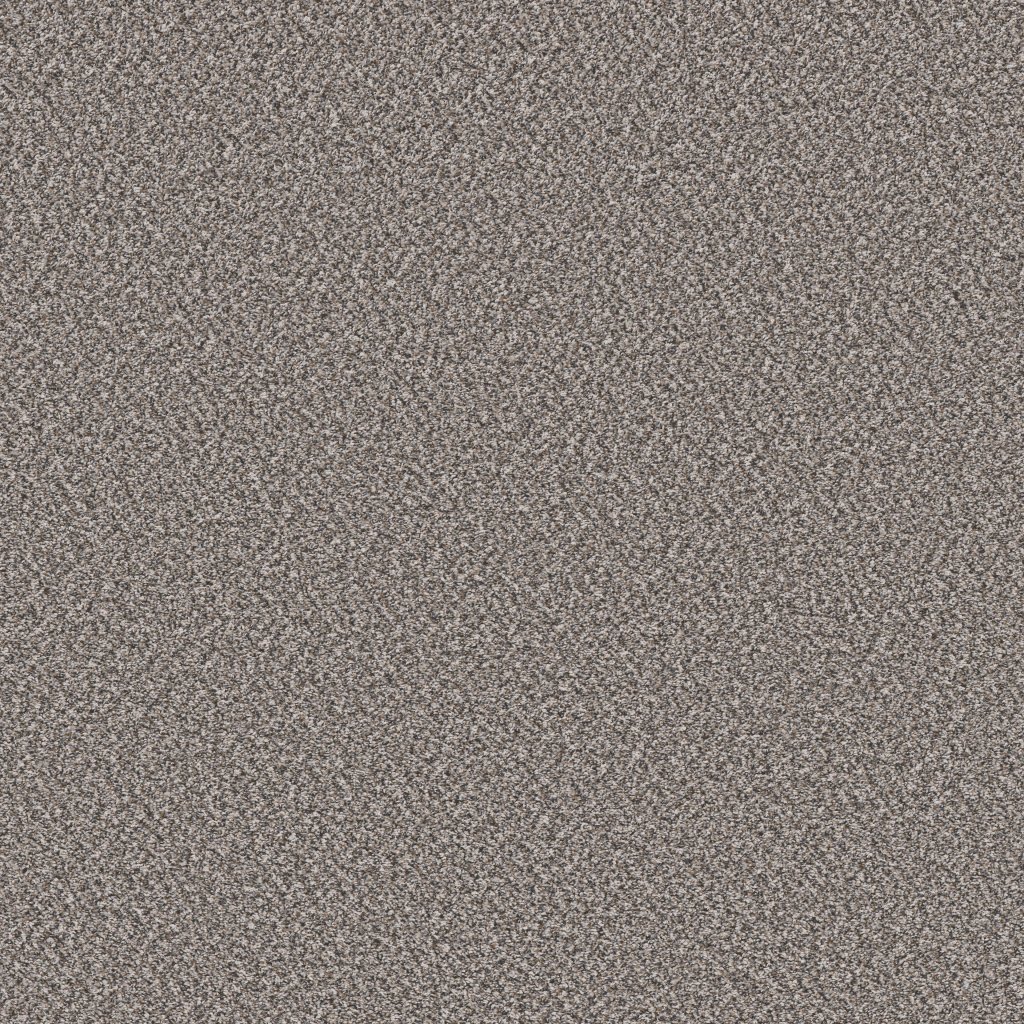 Shaw Floors Soft Radiance - Oxford