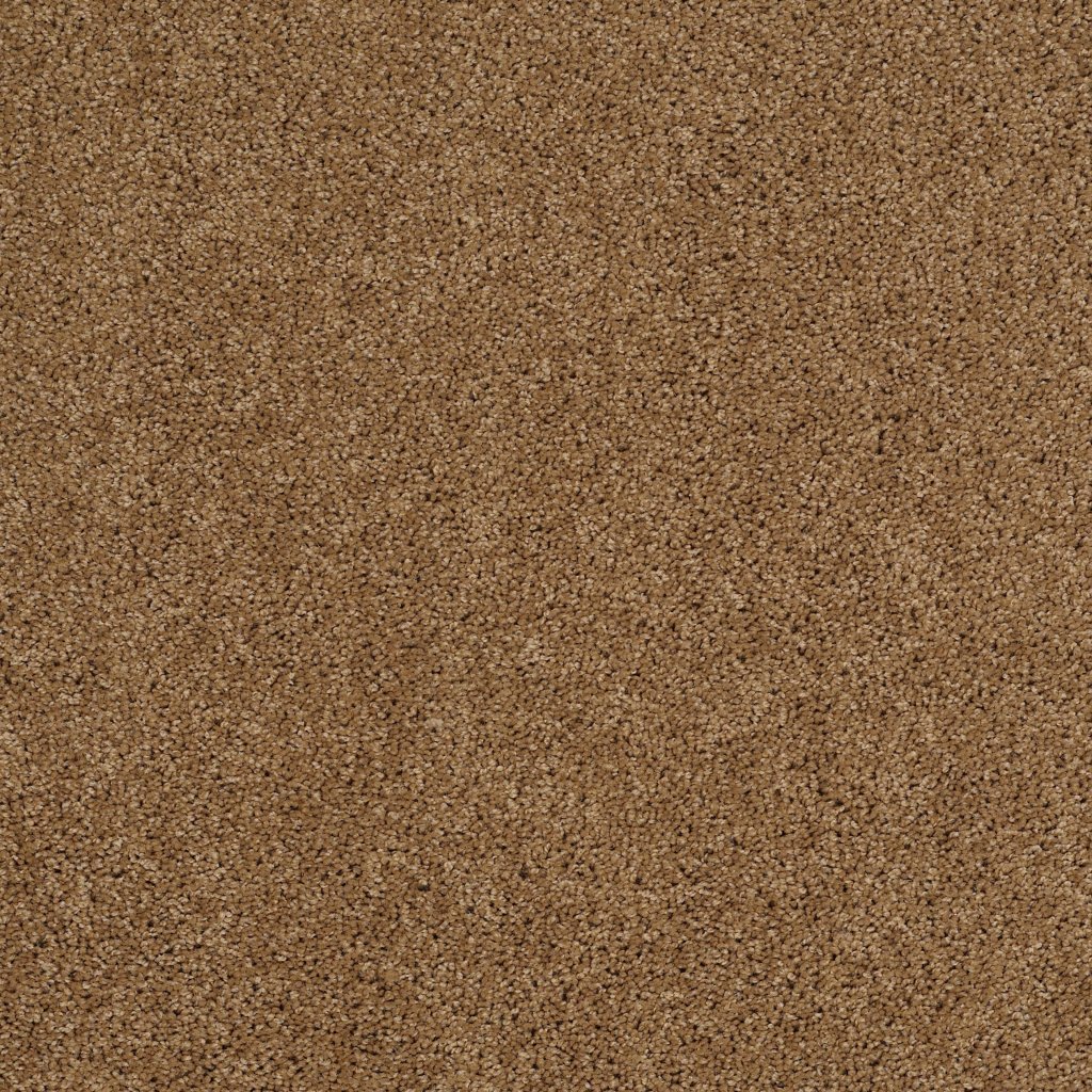 Shaw Floors Tip Of The Hat - Leather Bound