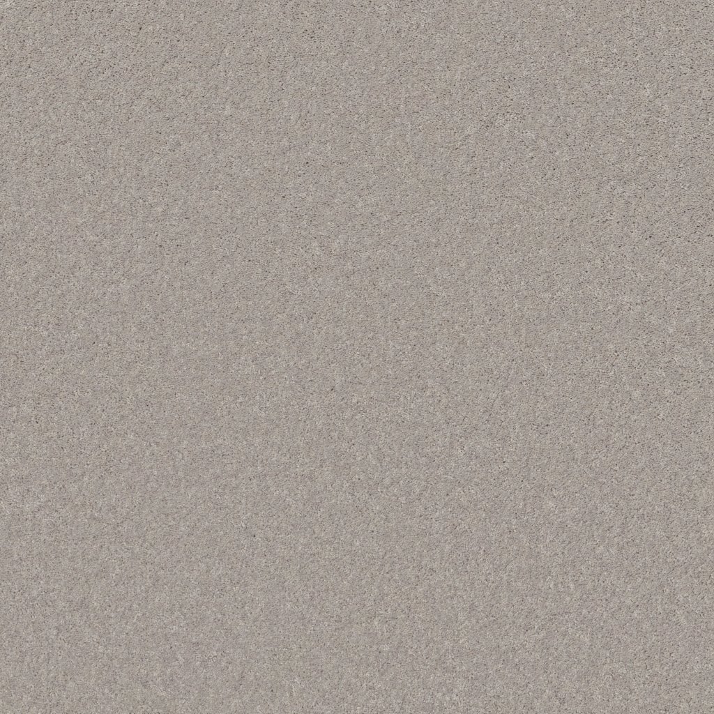 Shaw Floors Turn The Page Ii 12' - Sheer Silver