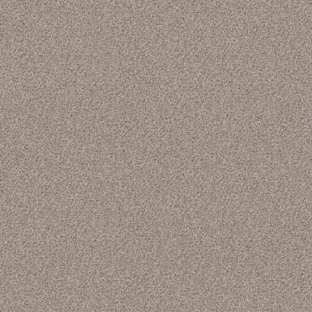 Shaw Floors Make It Work - Nature's Essent