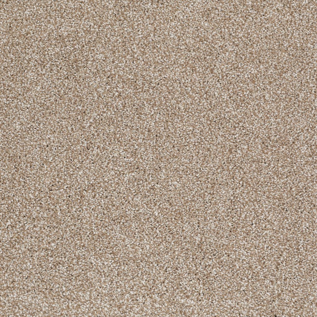 Shaw Floors THAT'S RIGHT - Mole Hill