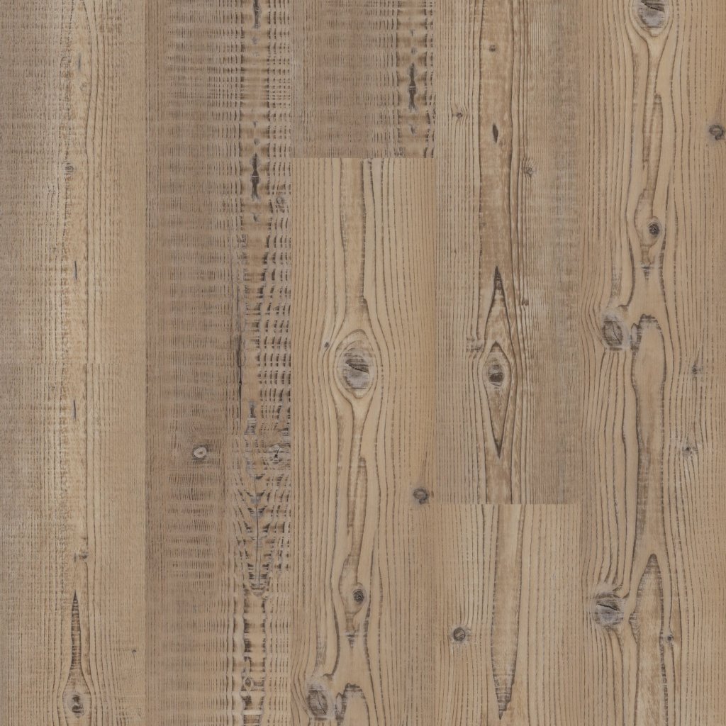 Philadelphia Commercial Setup - Accent Pine