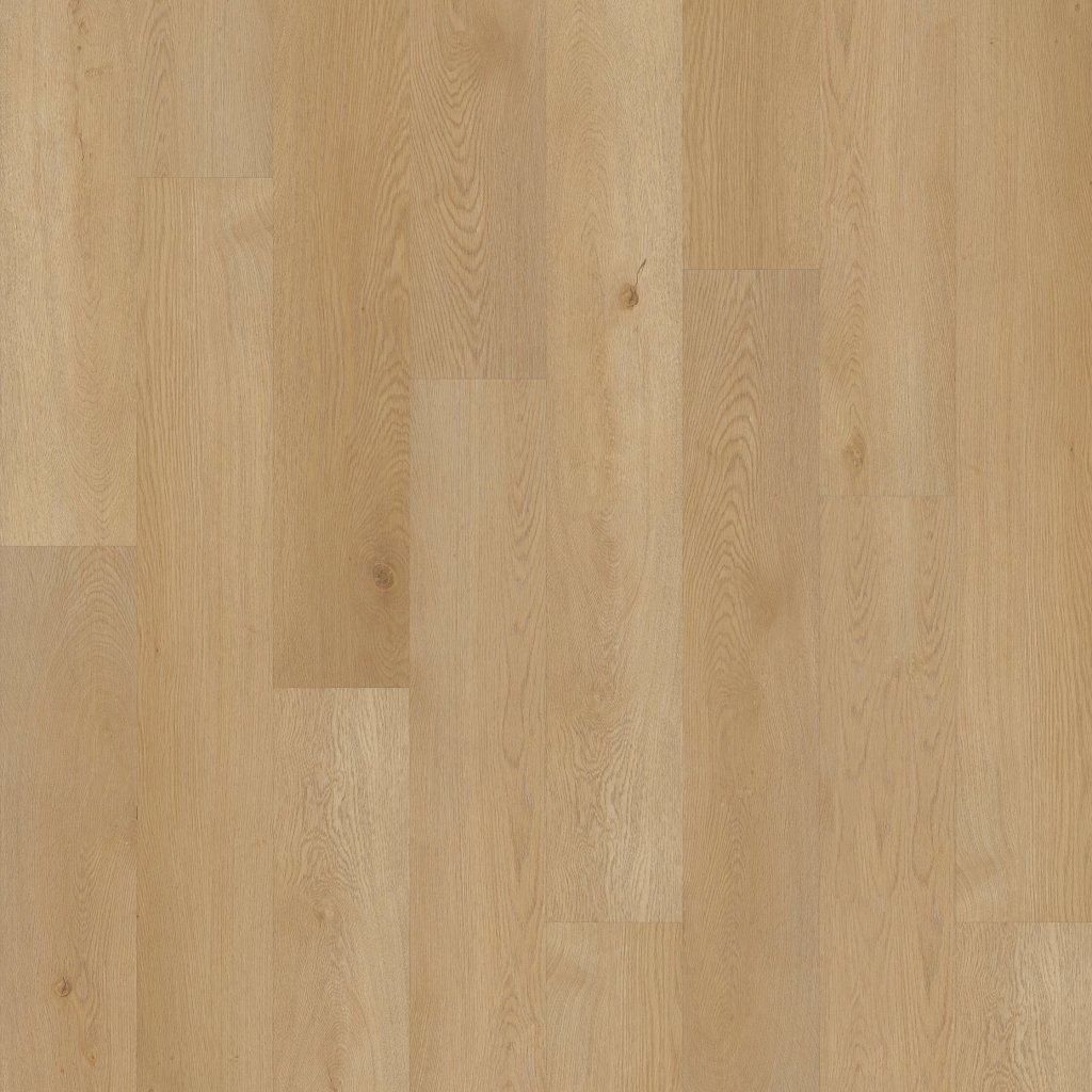 Philadelphia Commercial Setup - River Bend Oak