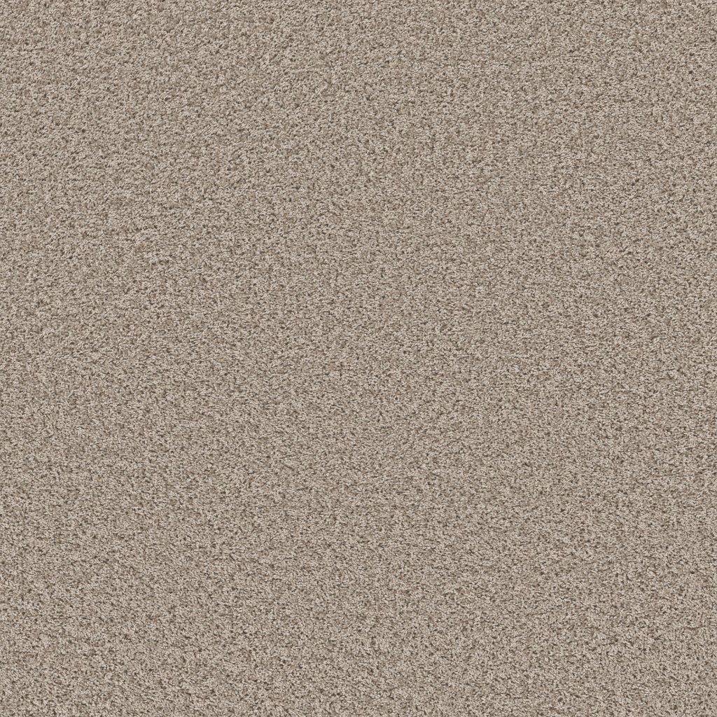 Shaw Floors Color Flair - Oyster