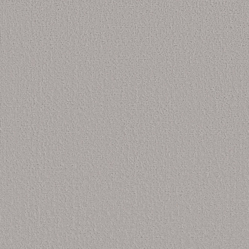 Shaw Floors Canvas Comfort - Dreamy
