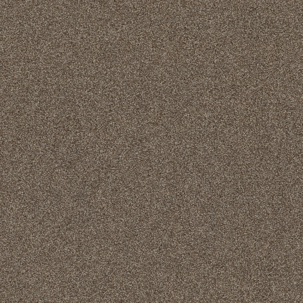 Shaw Floors Affirmation I - Spanish Brown