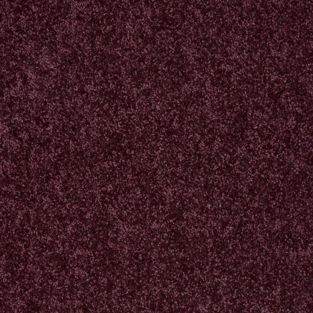 Shaw Floors All Star Weekend I 12' - Royal Purple