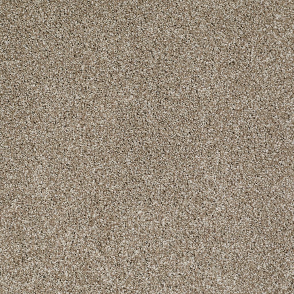 Shaw Floors Always Ready I - Warmth