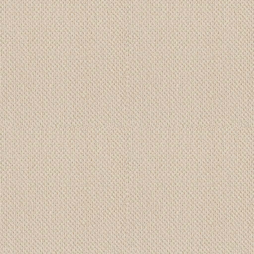 Shaw Floors Artist View Loop - China Pearl