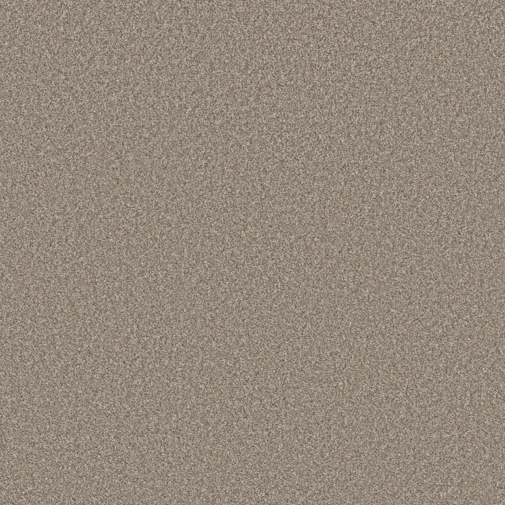 Shaw Floors Affirmation II - Plateau