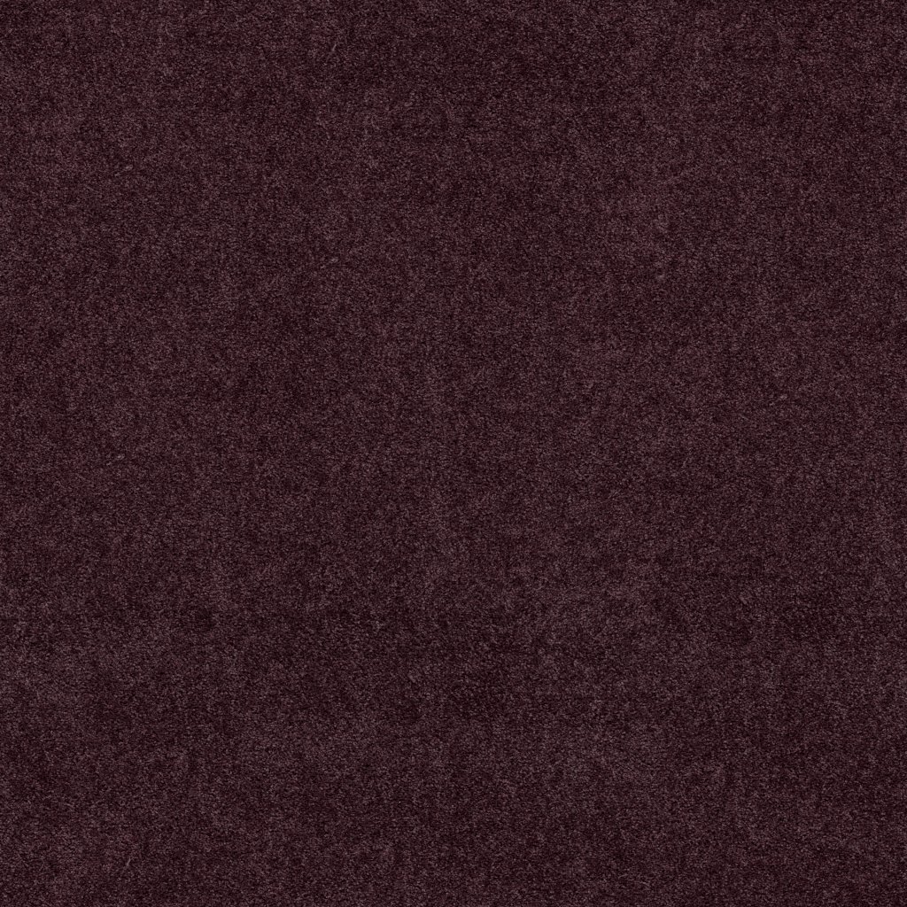 Shaw Floors Fielder's Choice 15' - Royal Purple