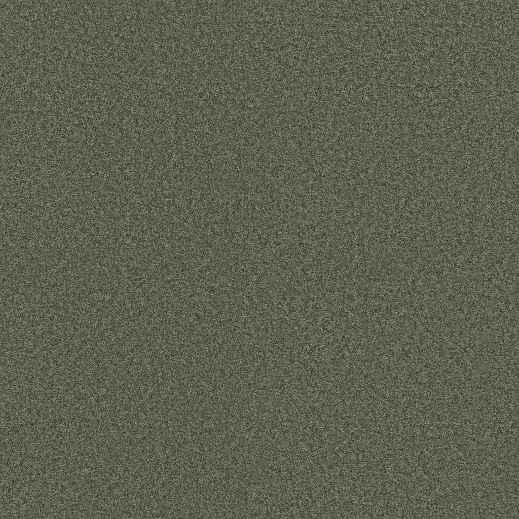 Shaw Floors Ocean Pines 12' - Central Park