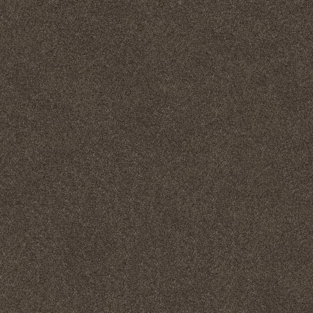 Shaw Floors YOU KNOW IT - Fudge Ripple