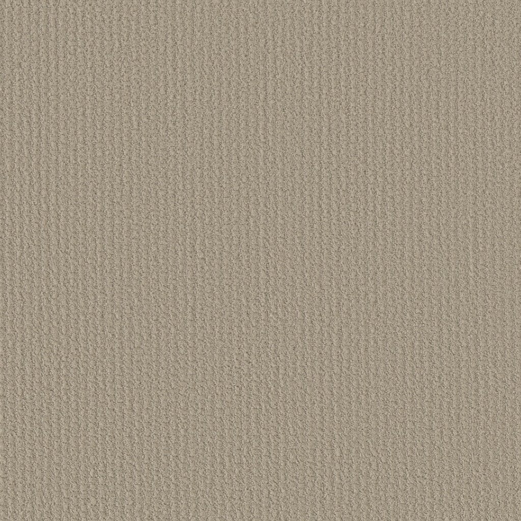 Shaw Floors Complete Control - Studio Taupe
