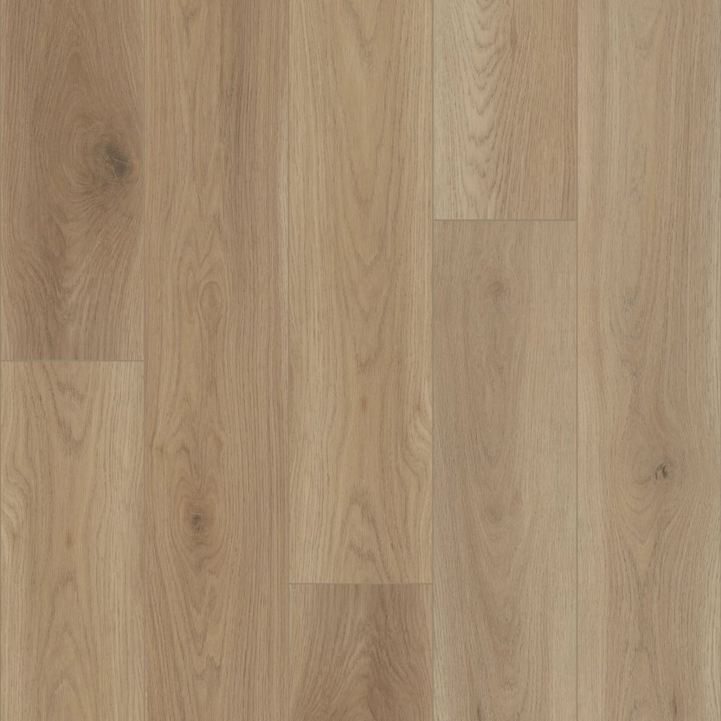 Shaw Floors HOMEBOUND - Honey Wheat