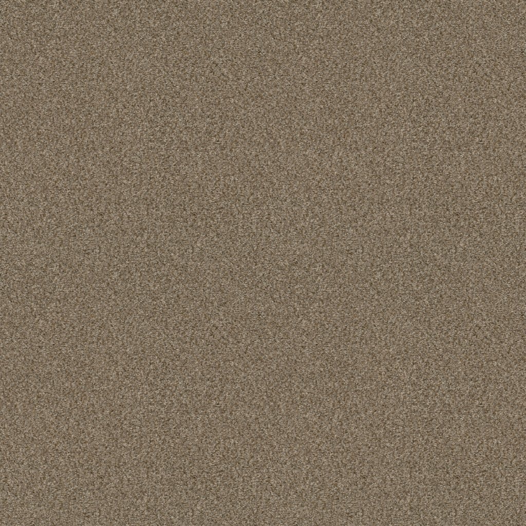 Shaw Floors Cabana Life (B) - Mesa
