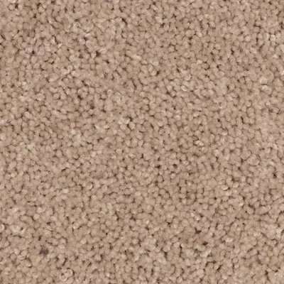 Mohawk Natural Purpose - Sand Storm