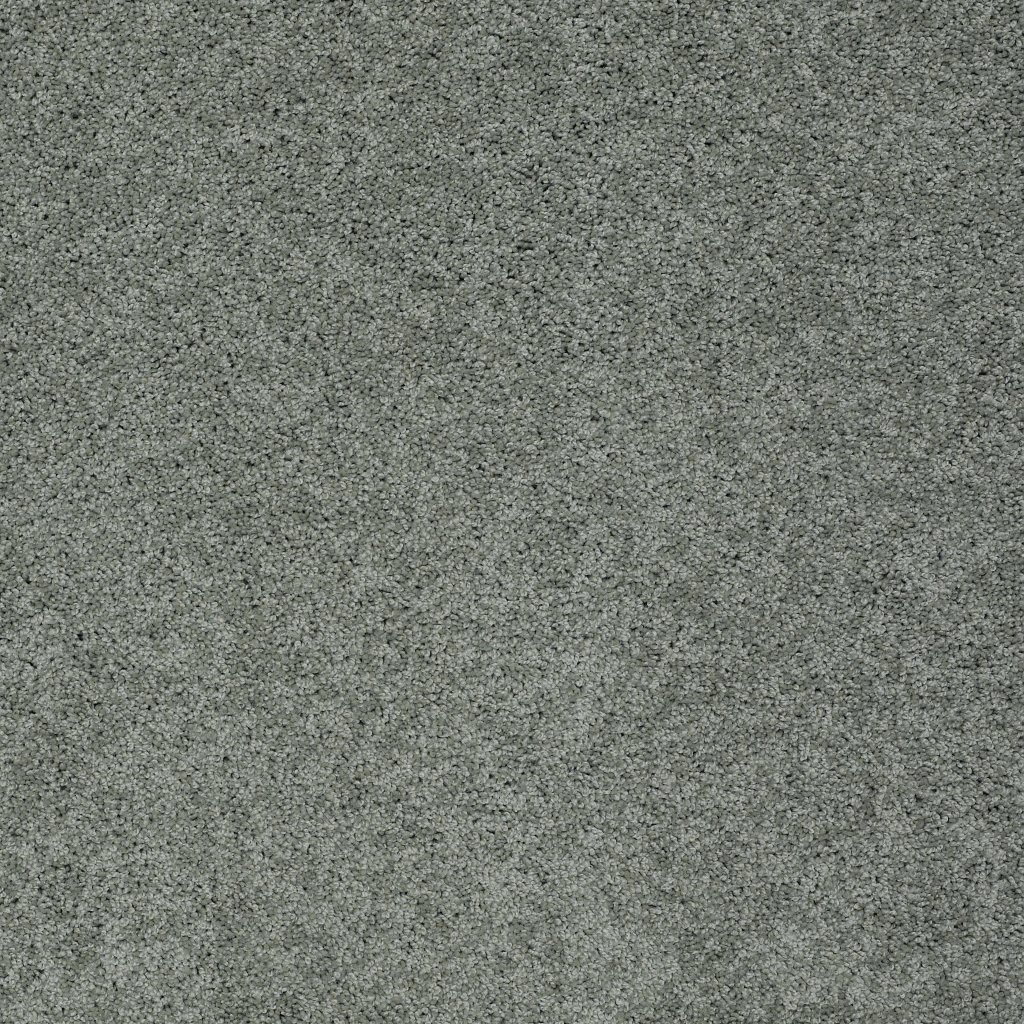 Shaw Floors Inspired By Ii - Silver Sage