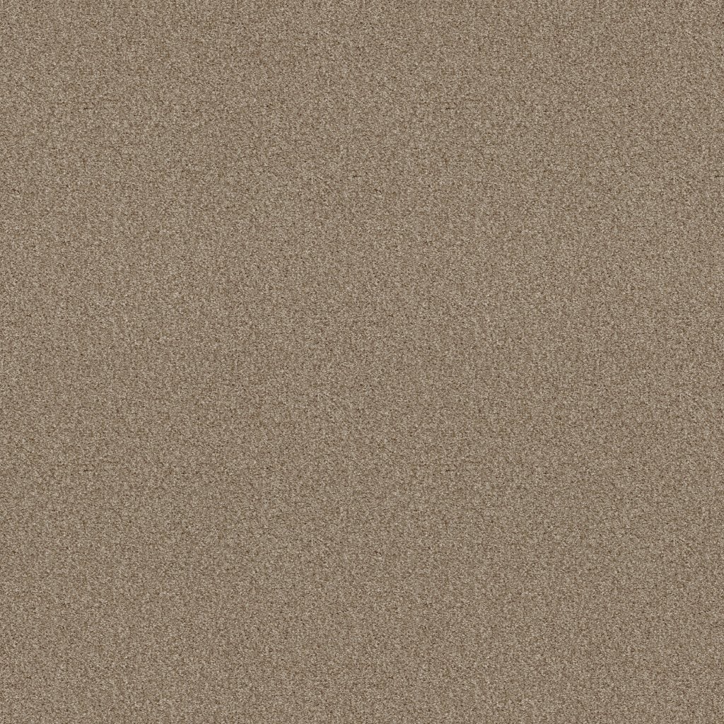 Shaw Floors Tonal Comfort I - Shoreline Haze