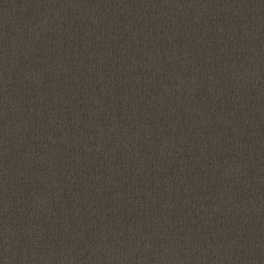 Shaw Floors Insightful Way - Iron Gate
