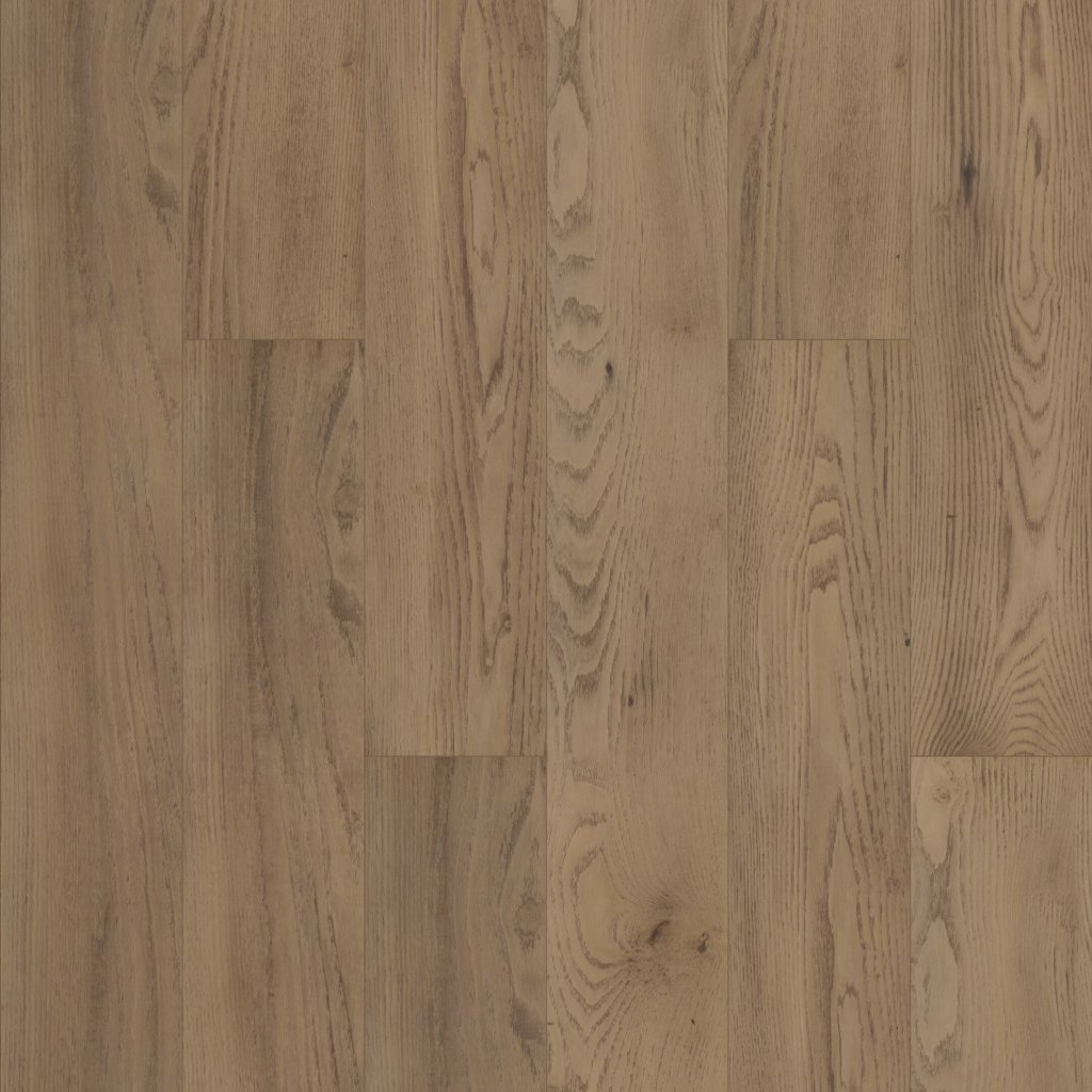 Shaw Floors Paragon HD Plus NB - Magnolia