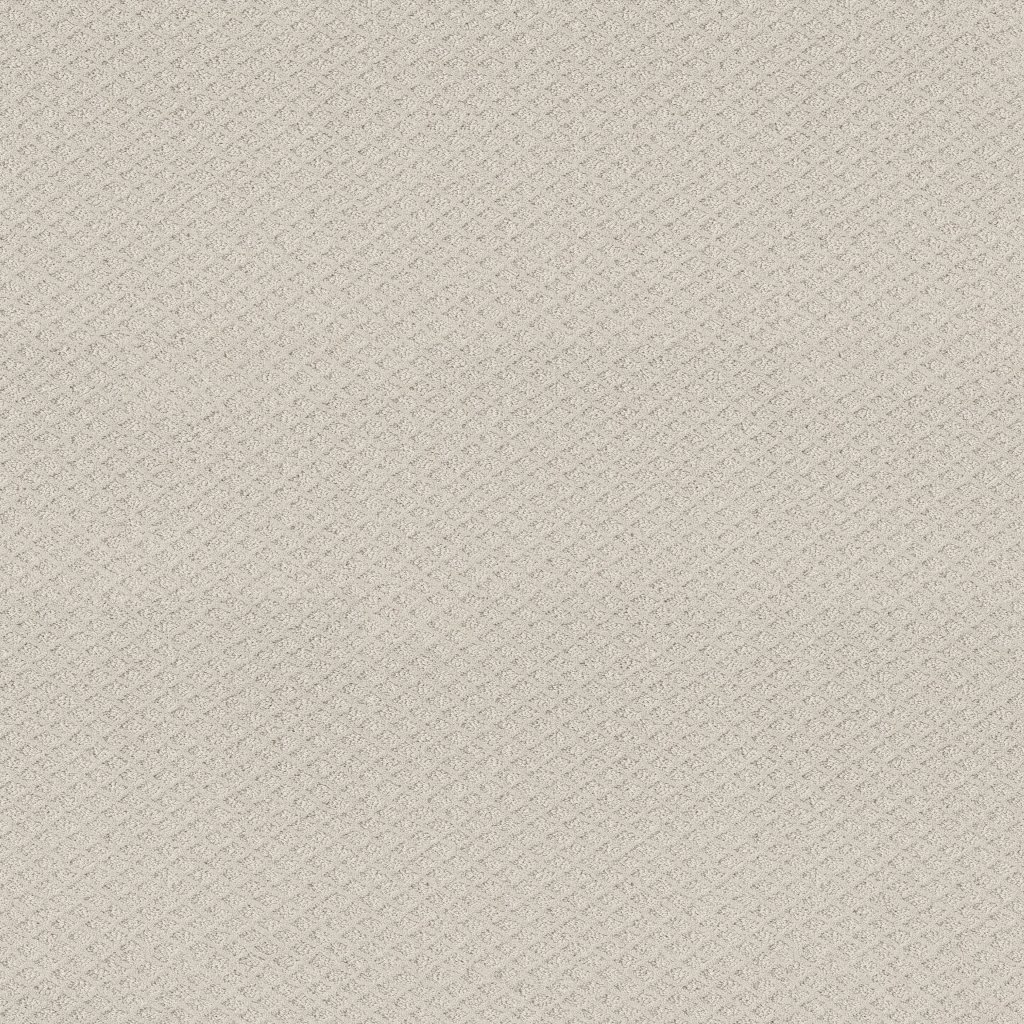 Shaw Floors Formalize - Winters Dawn