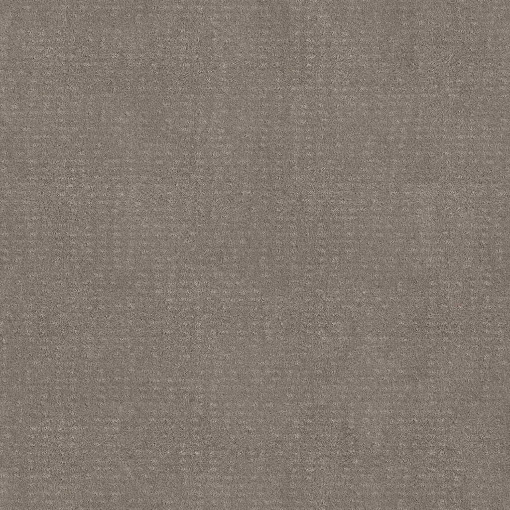 Shaw Floors Chic Nuance - River Run