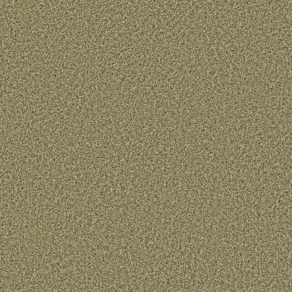 Shaw Floors Color Flair - Citrus Splash
