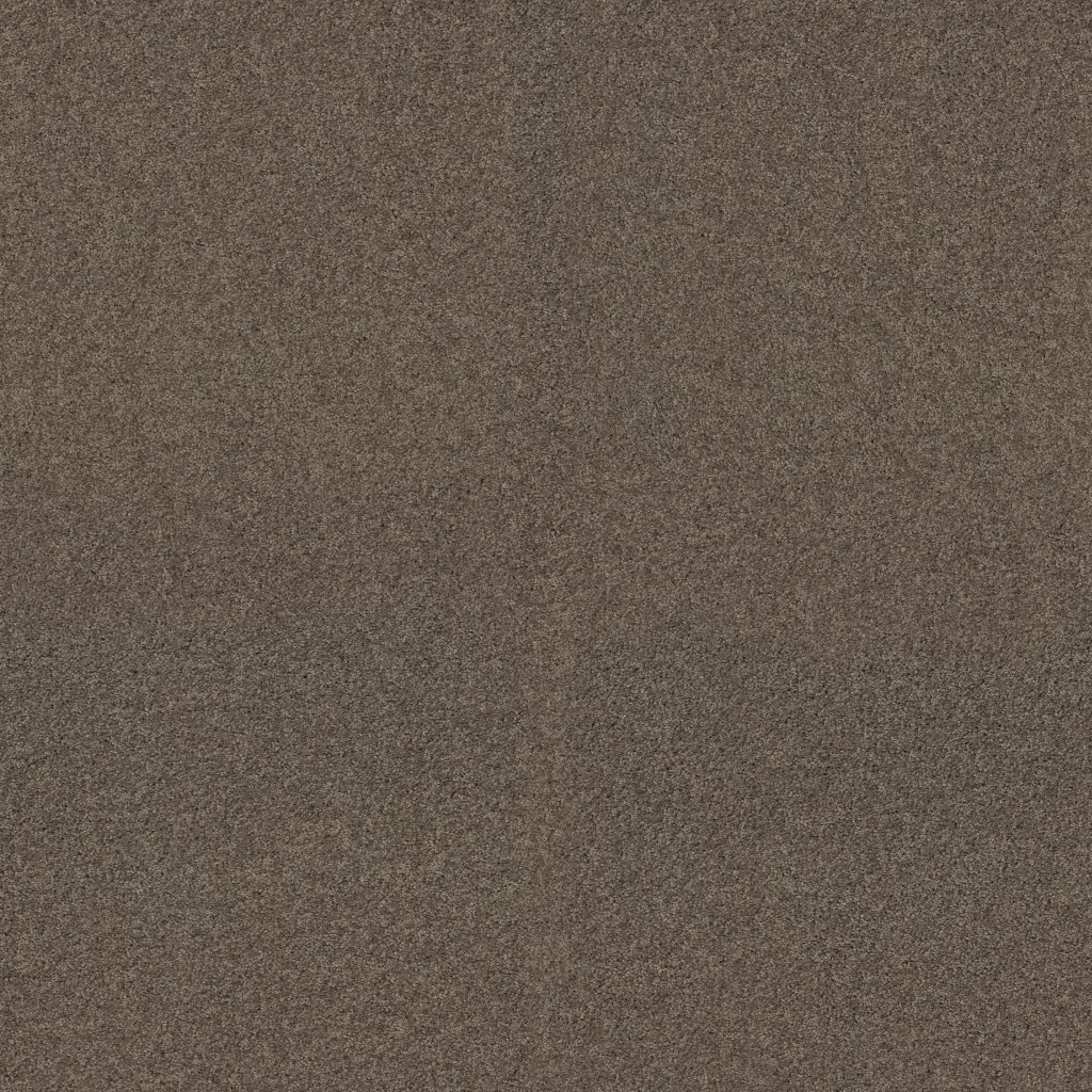 Shaw Floors My Inspiration I - Flax