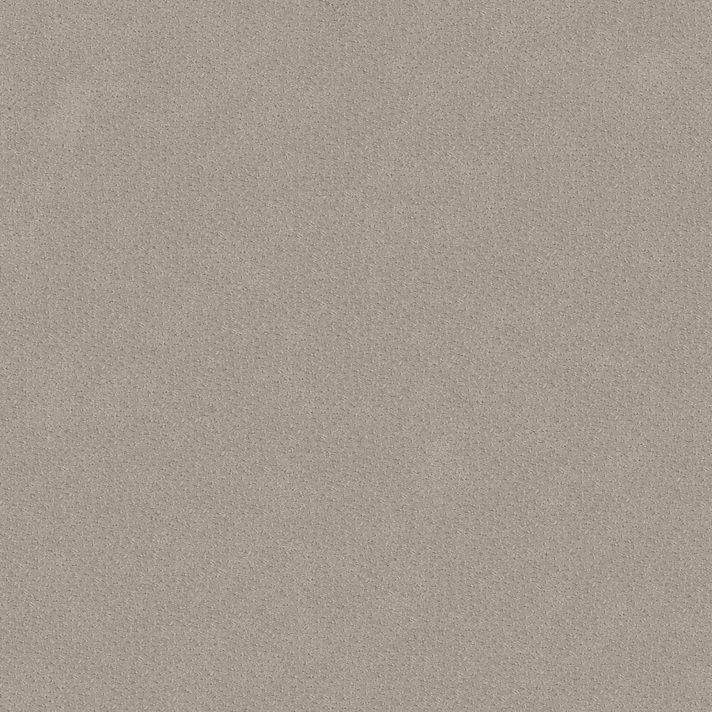 Shaw Floors Mainstay - Newstone Haven