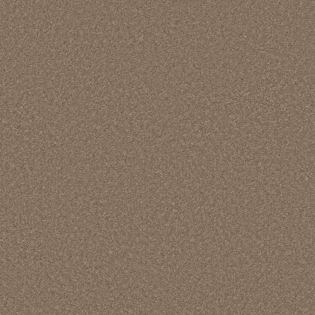 Shaw Floors Well Made - Pebble Creek