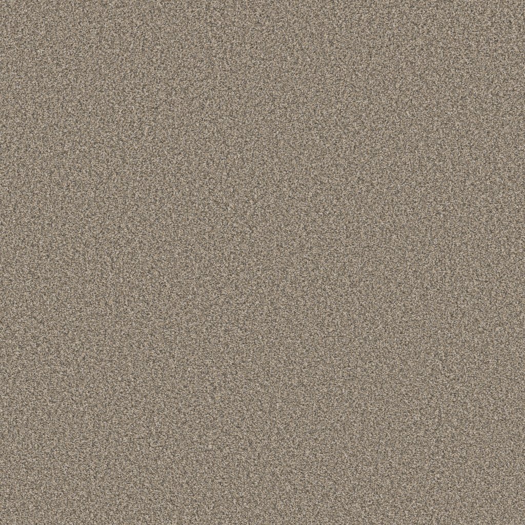 Shaw Floors Tweed Comfort II - Outer Banks