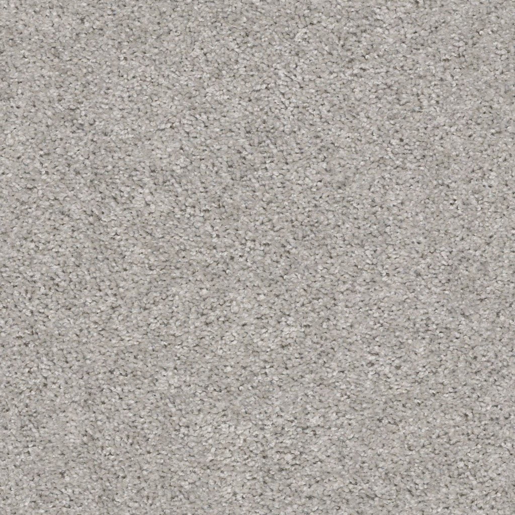 Shaw Floors Valiant - Silver Song