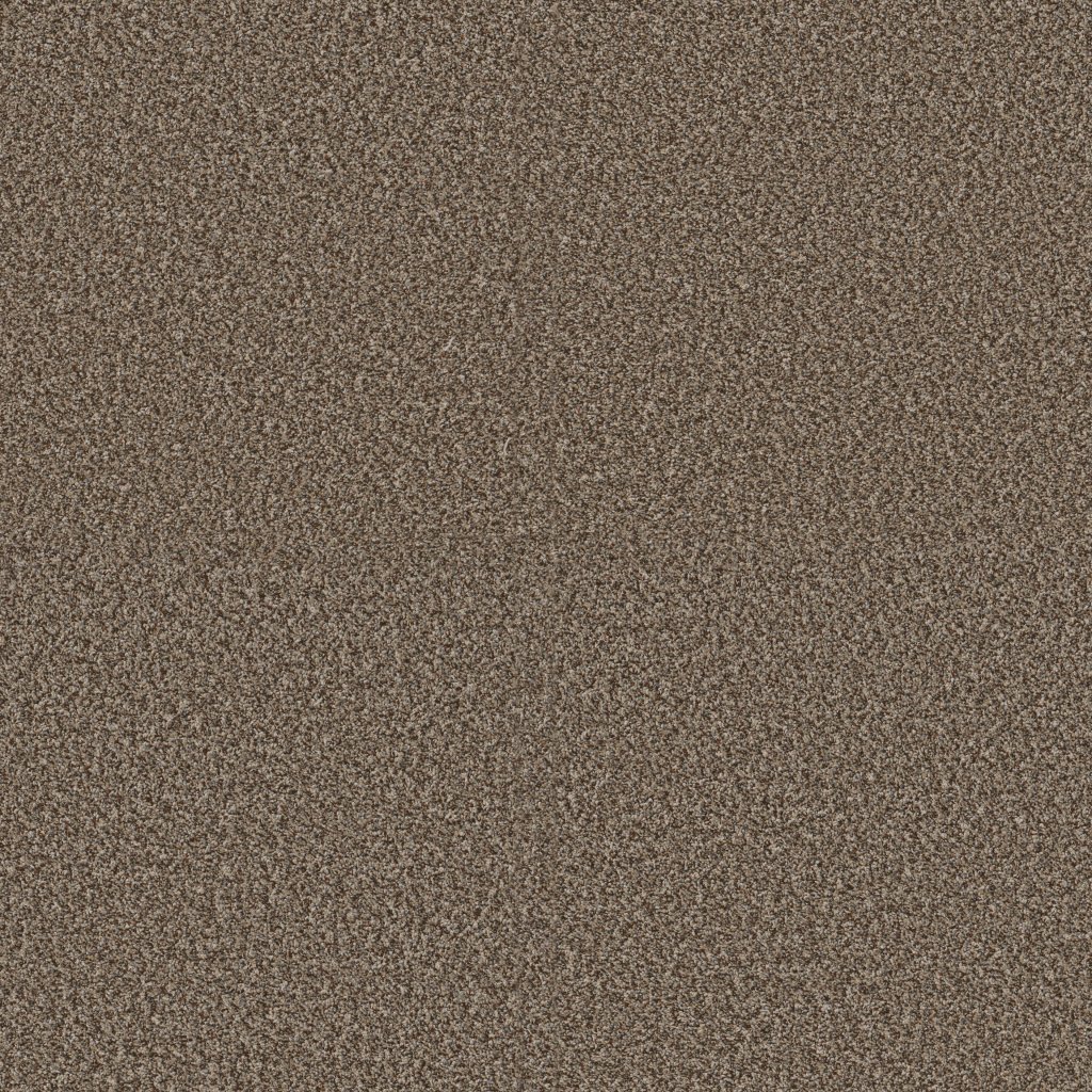 Shaw Floors Renewed Energy II - Freckles