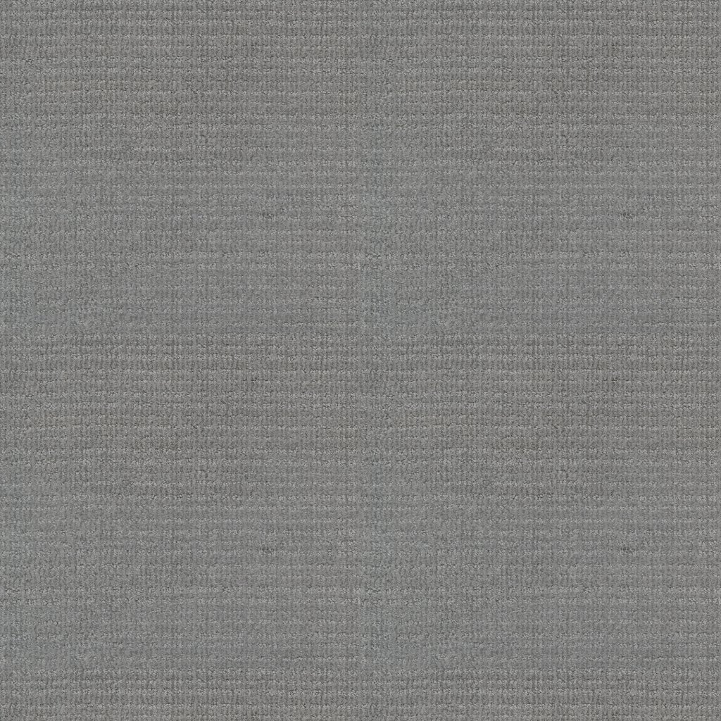 Shaw Floors Sensible Now - Silver Springs