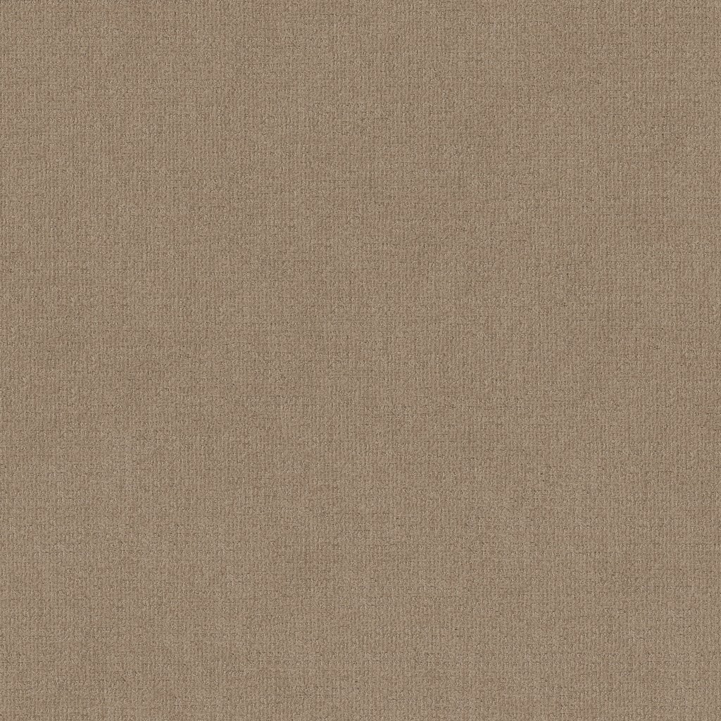 Shaw Floors Sierra Vista - Leather