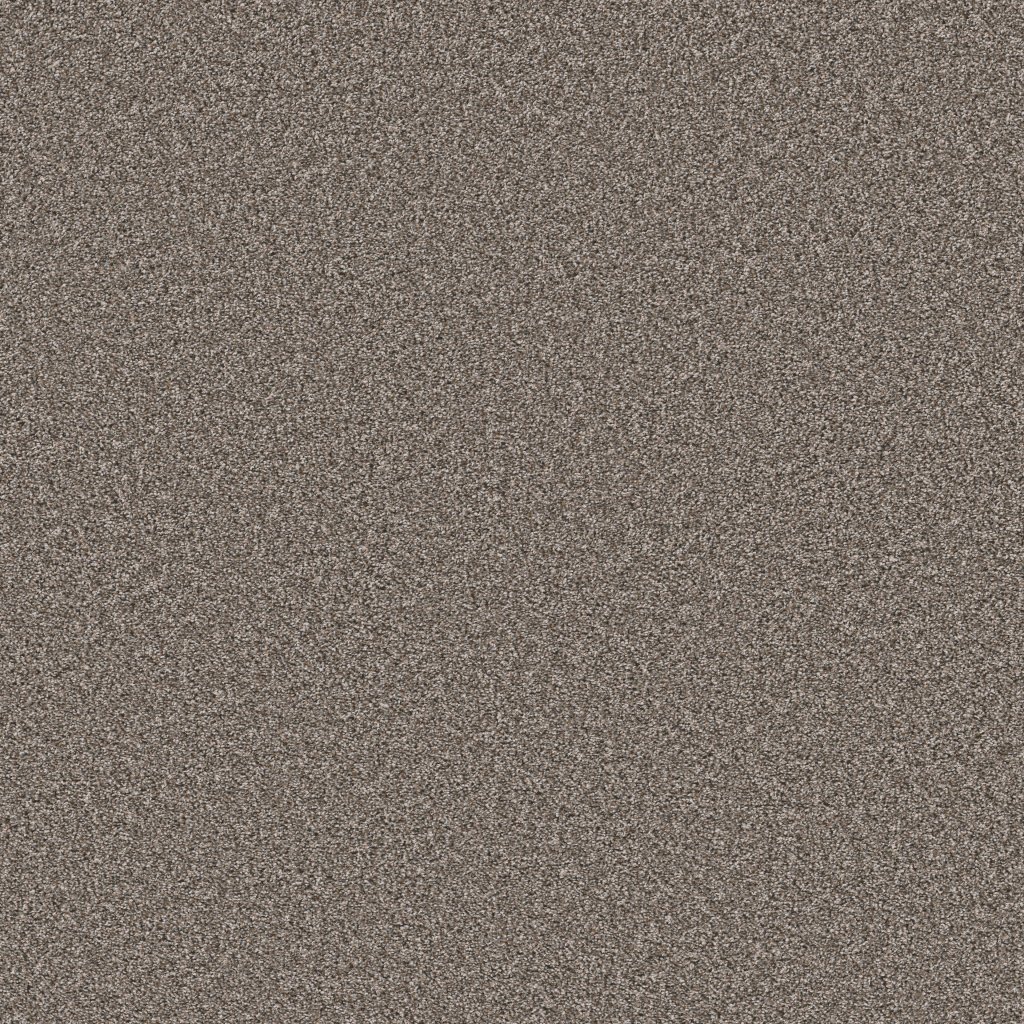 Shaw Floors Soft Radiance - Nature Trail
