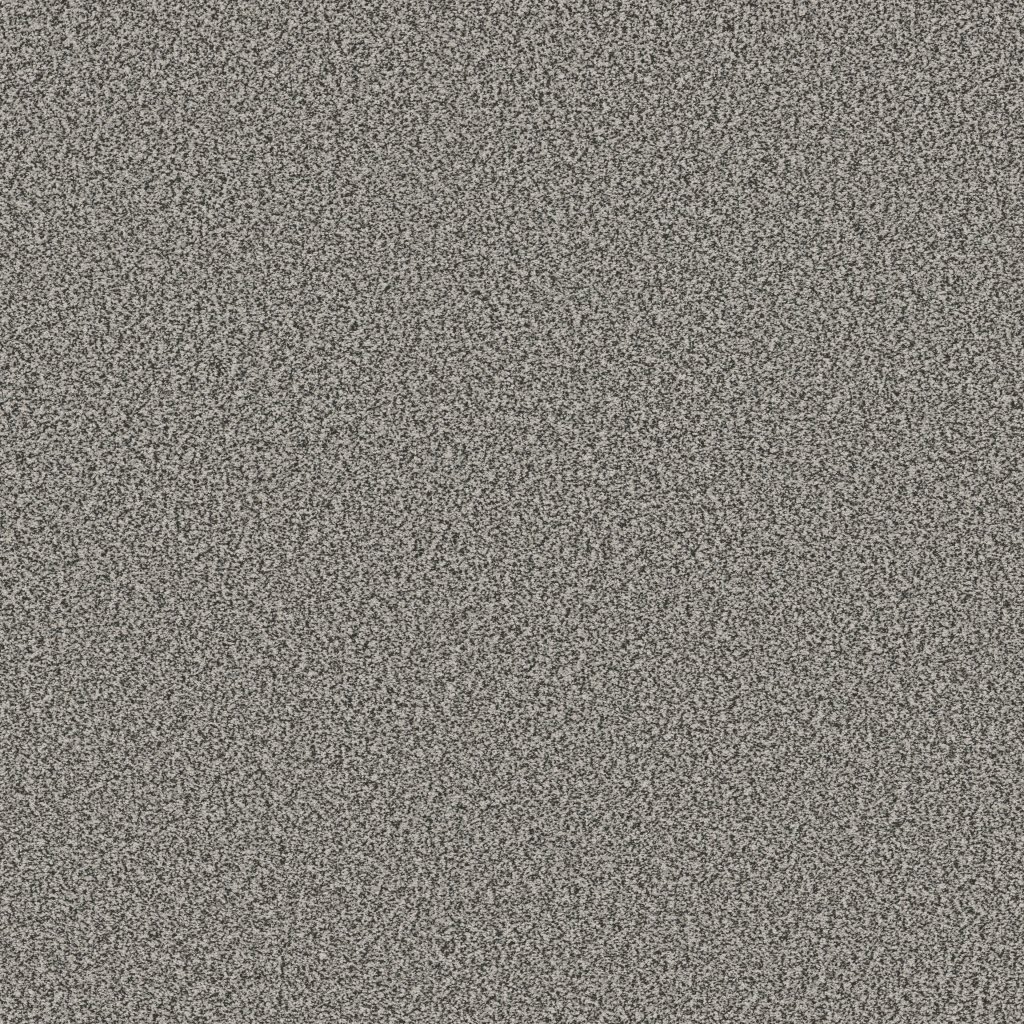 Shaw Floors Tweed Comfort II - All Dressed Up