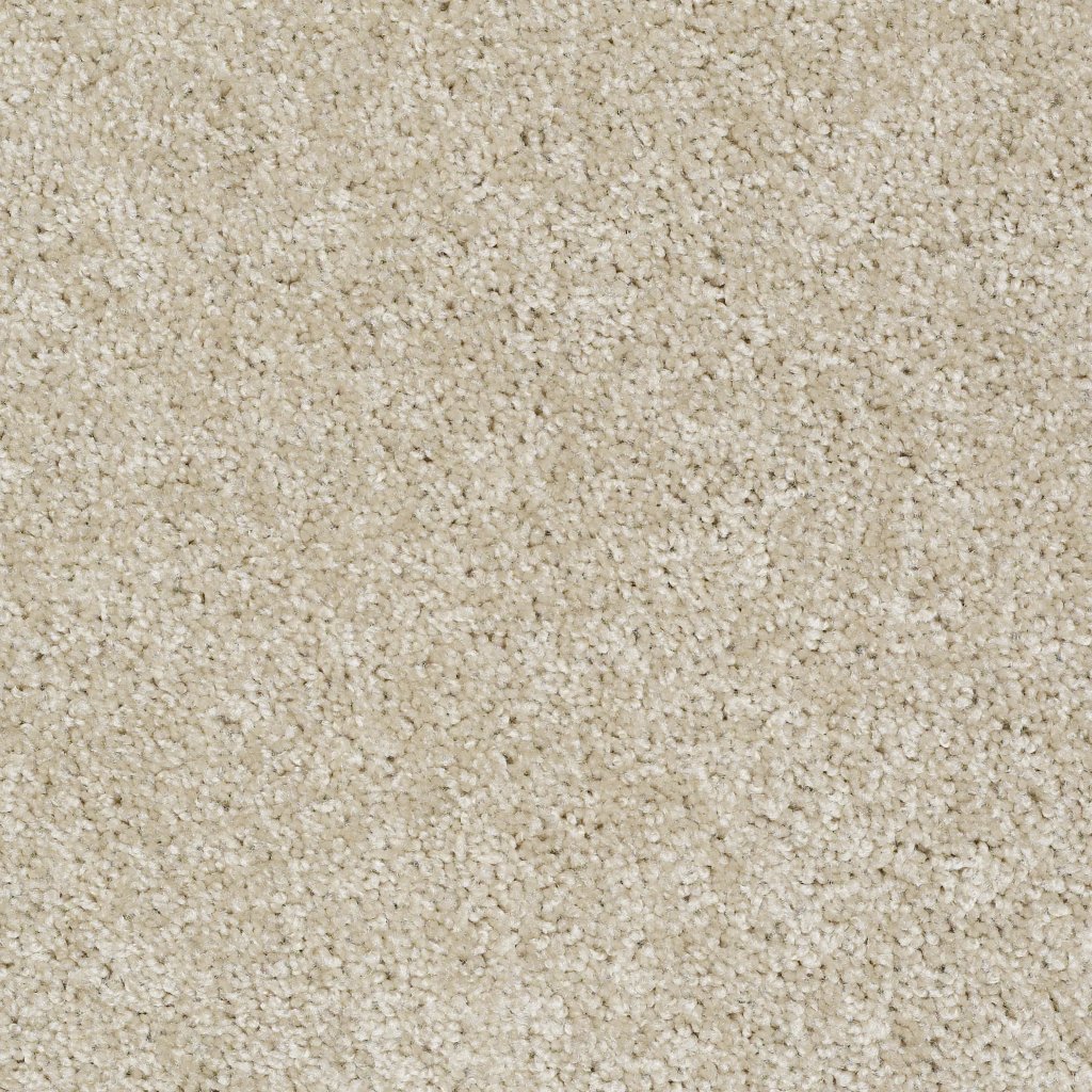 Shaw Floors Make It Yours (S) - Aspen