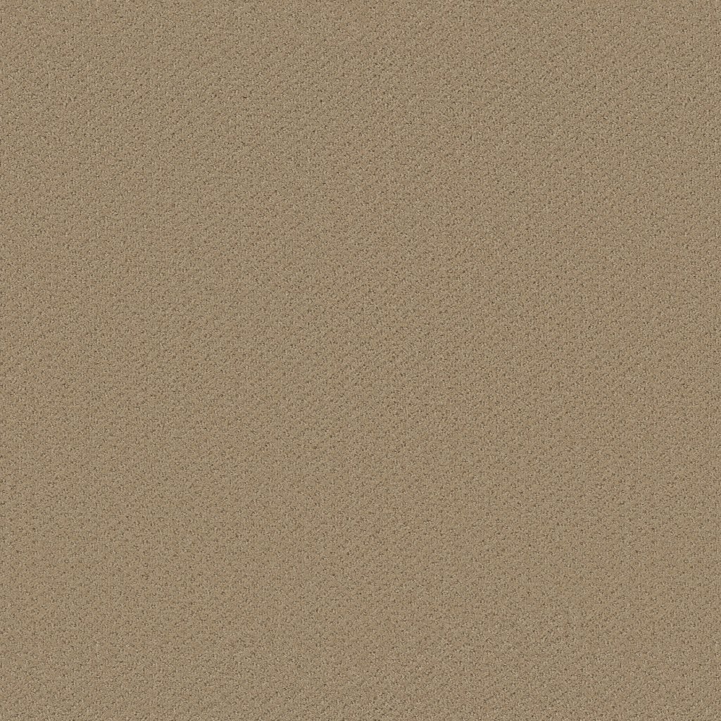 Shaw Floors Genesis - Fieldstone