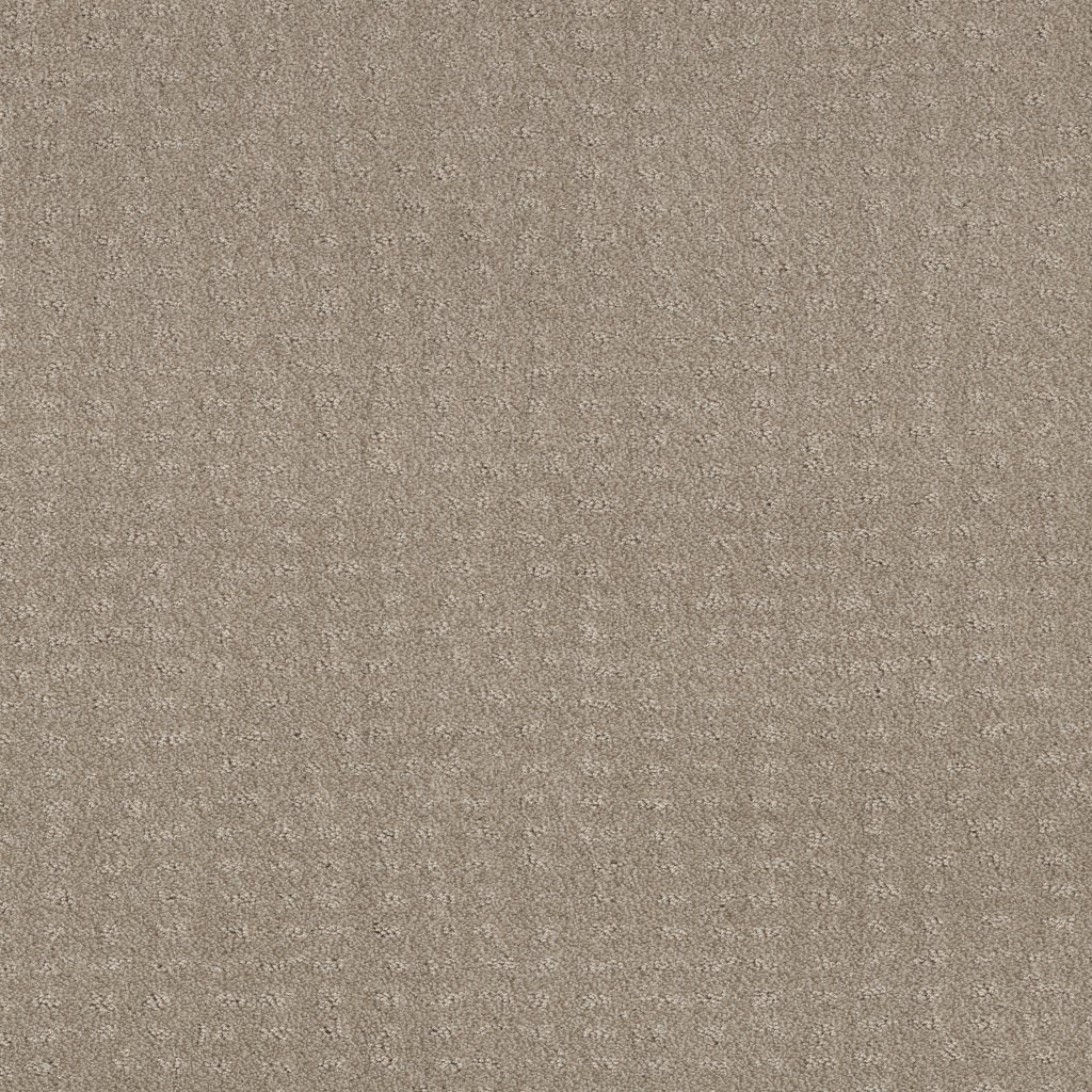 Shaw Floors Chic Nuance - Fossil Path